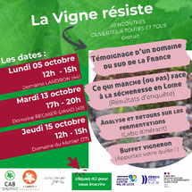 Vignerons en bio, venez partager votre été
