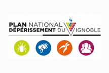 Outils numériques : le PNDV vous sonde 