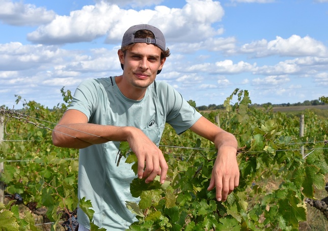 Emile Coddens, dans ses vignes de Saint-Lambert du Lattay. Emile Coddens, dans ses vignes de Saint-Lambert du Lattay.