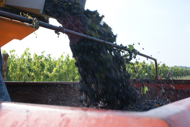 Les Douanes valident discrètement l’achat de vendanges Les Douanes valident discrètement l’achat de vendanges