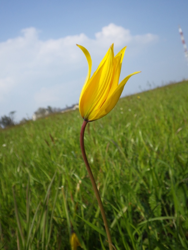 Photo : CPIE Photo : CPIE