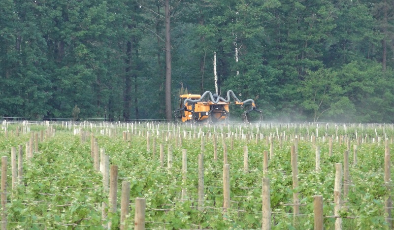 Des produits phytos alternatifs à l’épreuve du marché Des produits phytos alternatifs à l’épreuve du marché