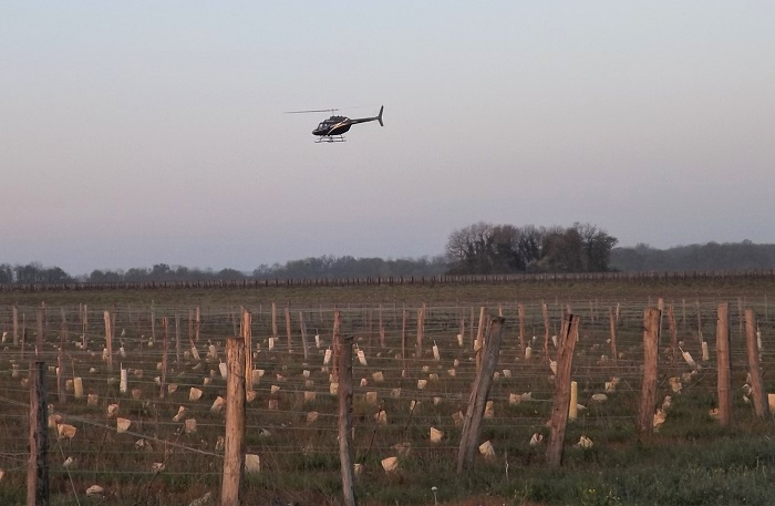 Le gel s'invite encore Le gel s'invite encore