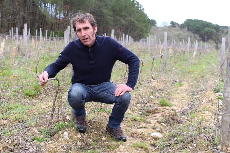 Christian Nobiron cultive 11 hectares de vignes, en cours de conversion, sur le terroir de Brem.
