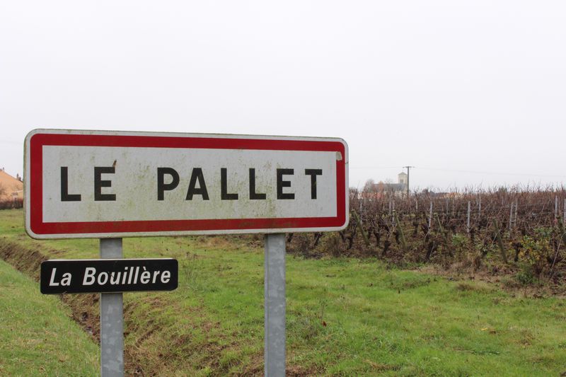 La commune du Pallet ne compte plus que 14 exploitations viticoles. La commune du Pallet ne compte plus que 14 exploitations viticoles.