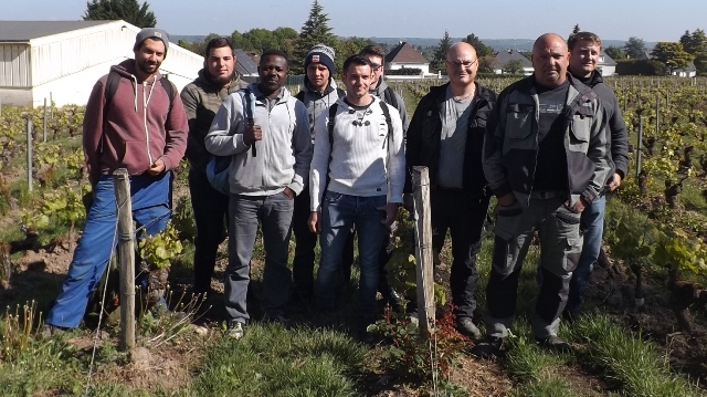 Ils se reconvertissent dans la viticulture