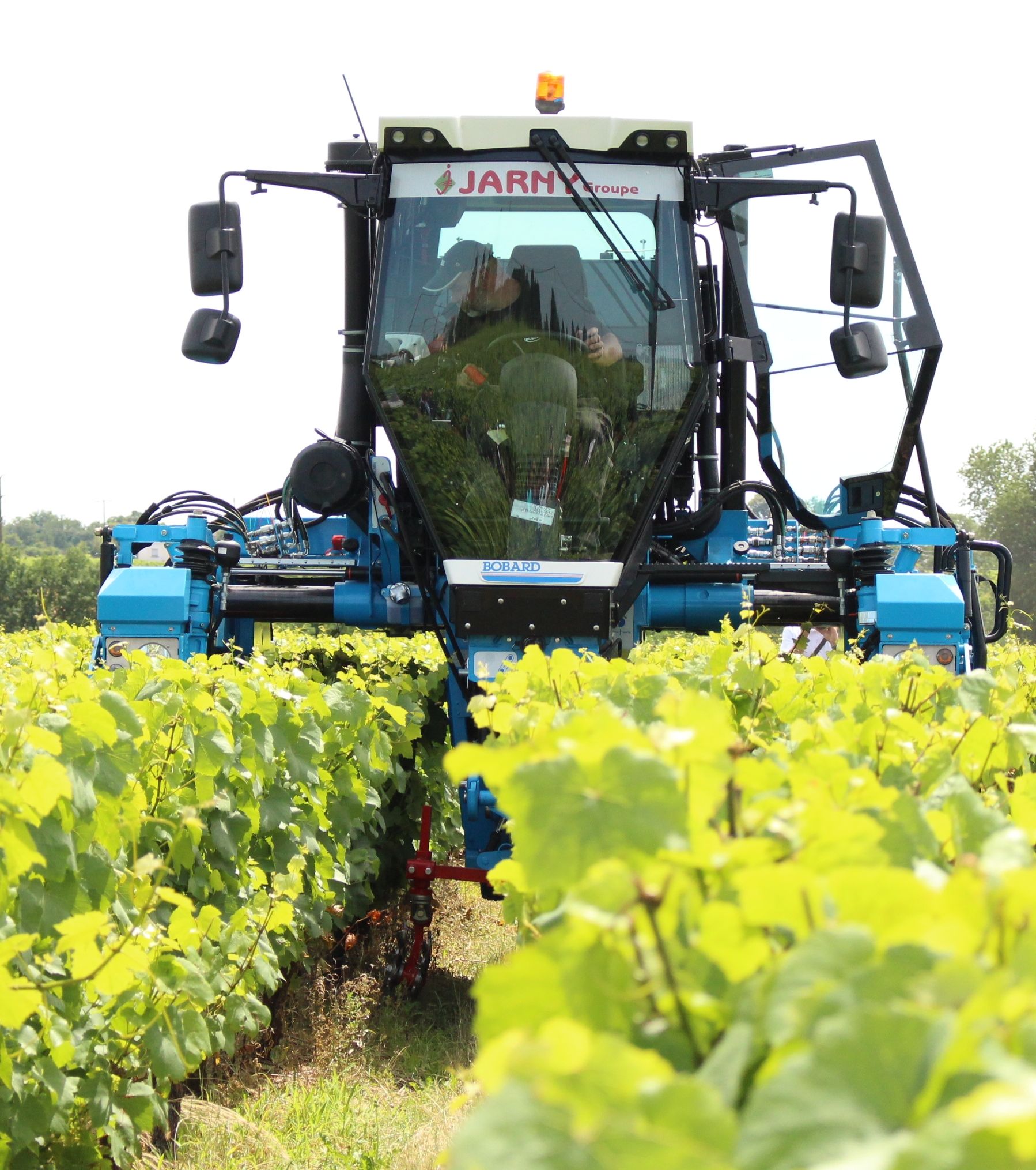 Briacé lance un CAP dédié à la production viticole