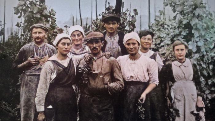 Une histoire vigneronne sur France 3 Une histoire vigneronne sur France 3