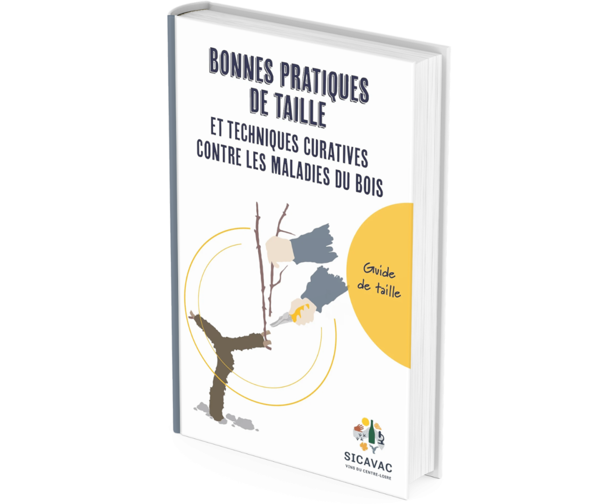 La bible de la taille rééditée