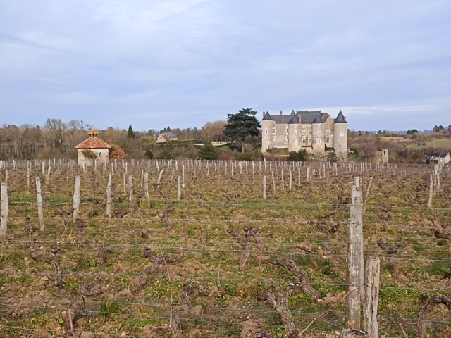 Thimotée Dellalle cultive notamment des vignes à Luynes, surplombant le bourg et en face du château