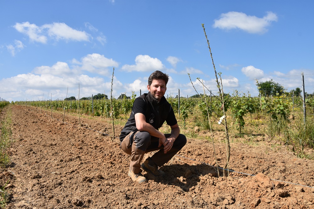 Laurent Ligonnière mise sur une récolte de pommes à cidre pour 2030.