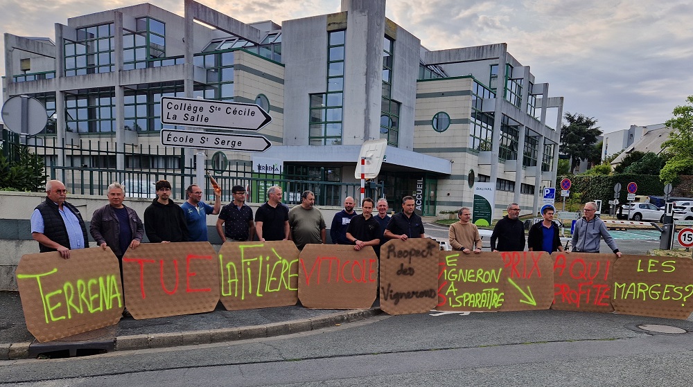 Pas contents, des vignerons angevins manifestent devant Terrena