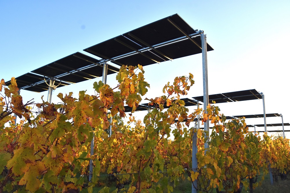 Avec ses 500 m2 de panneaux, le château la Varière produira l’équivalent de 15 % de ses besoins d’électricité annuels au chai.