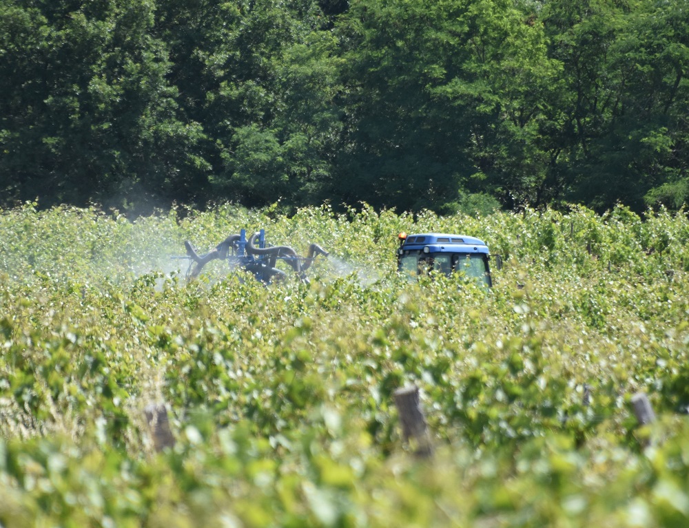 Première victoire pour le cuivre