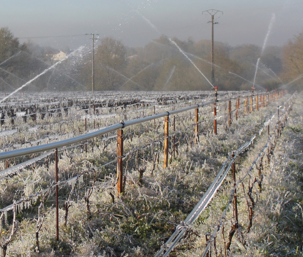 L’aspersion n’est pas de l’irrigation
