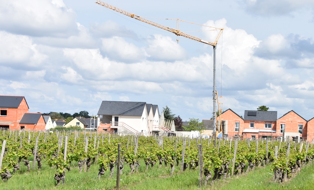 Le Conseil constitutionnel renvoie les ZNT aux agriculteurs