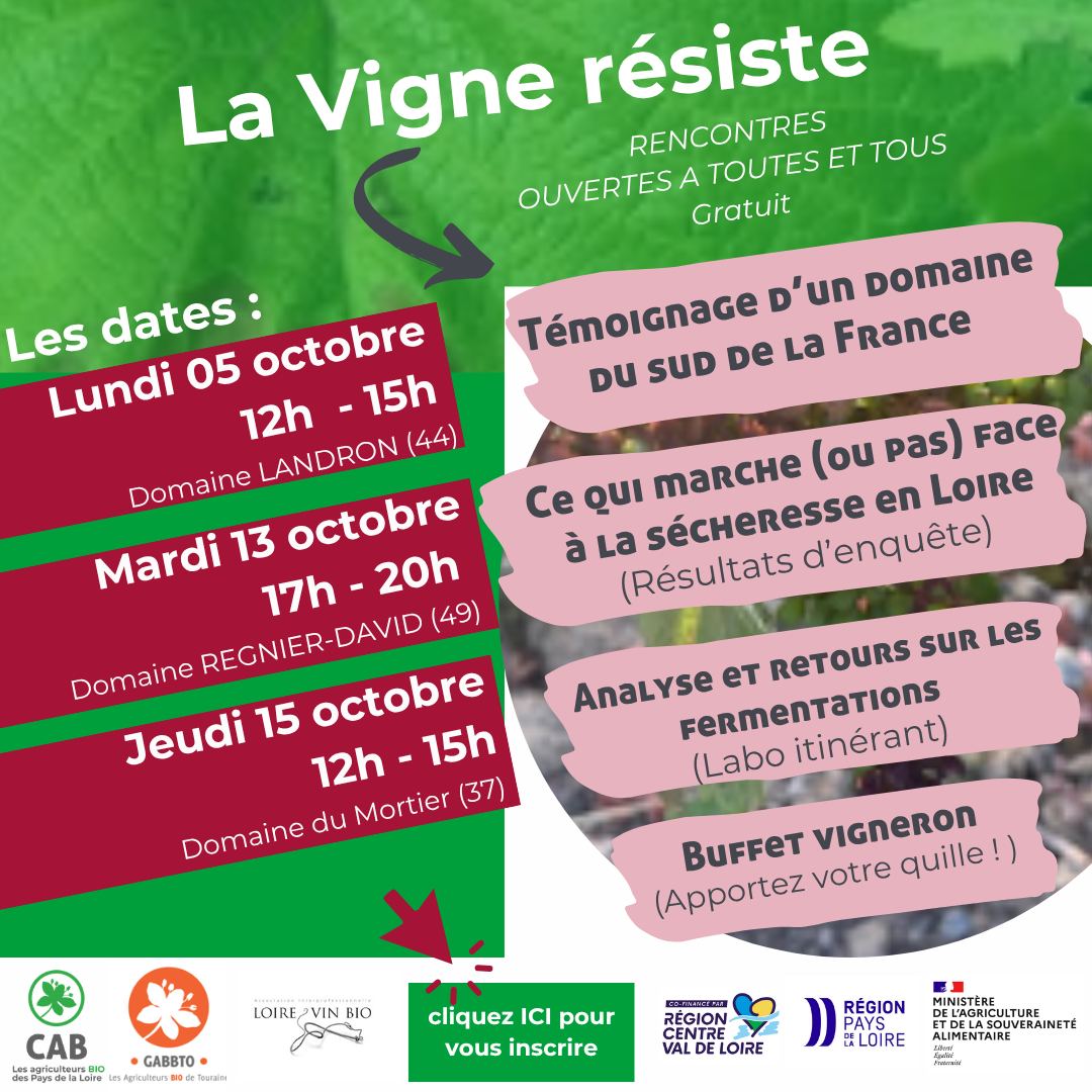 Vignerons en bio, venez partager votre été