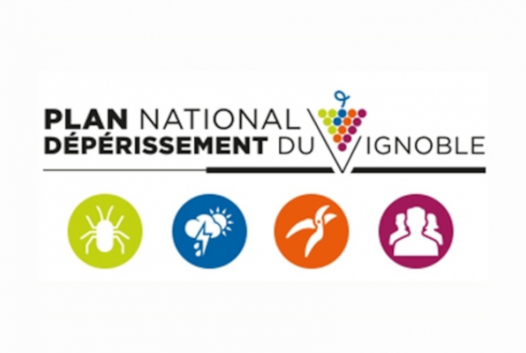 Outils numériques : le PNDV vous sonde 