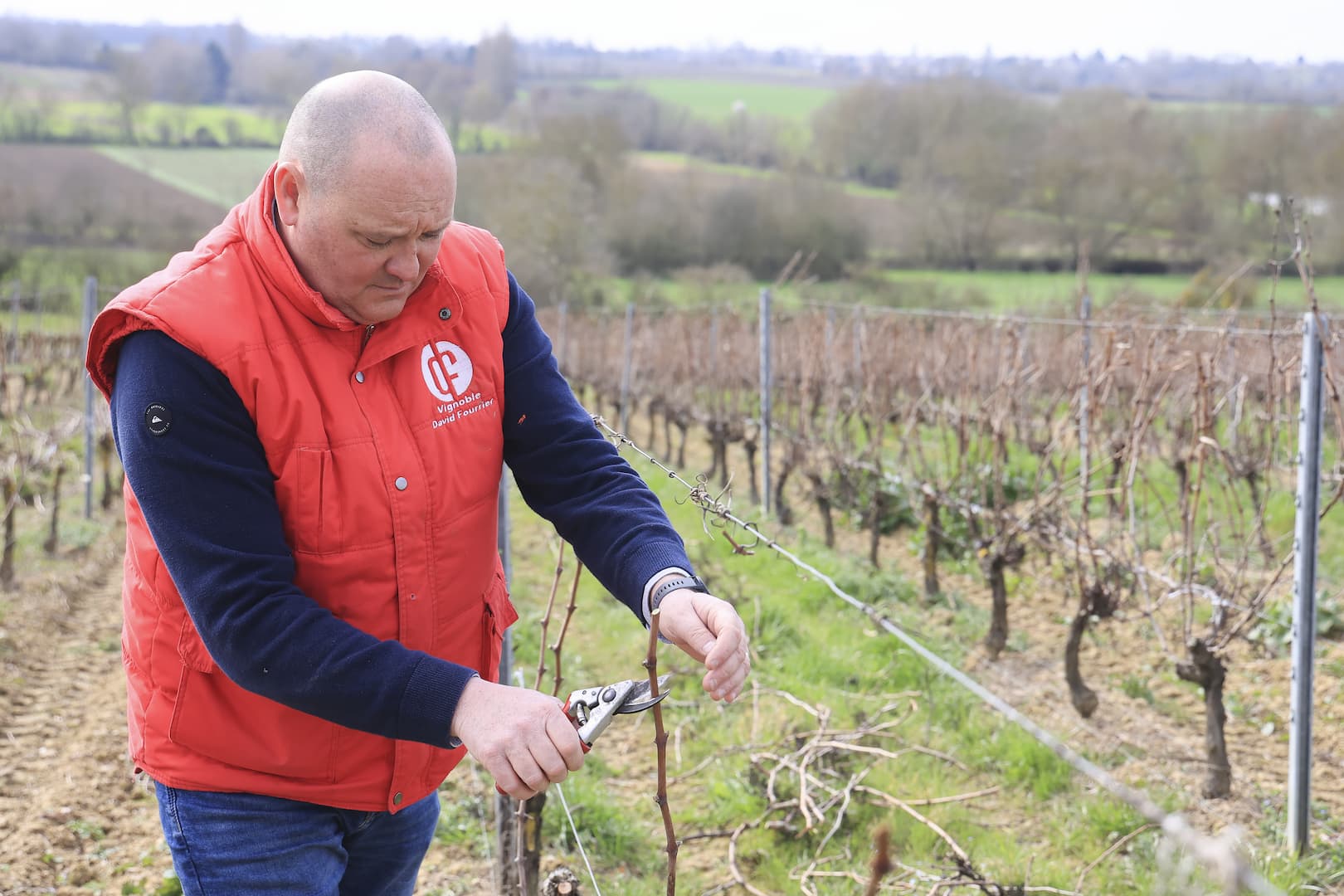 David Fourrier sur son domaine de Martigné-Briand repris en 2009. Photo DR