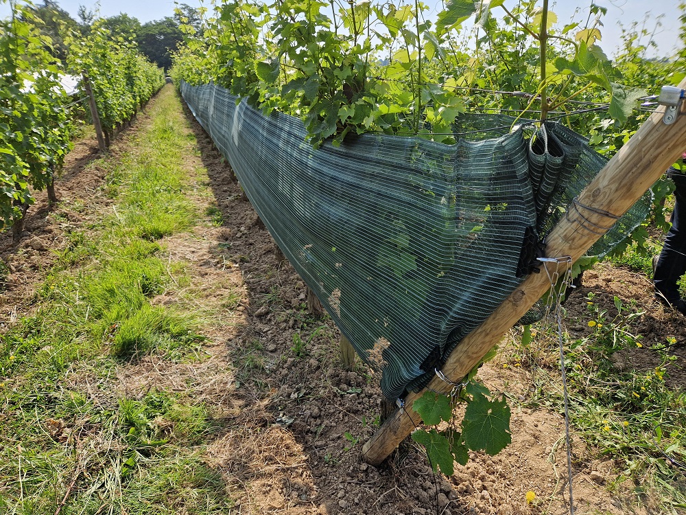 Des filets contre les coups de chaud