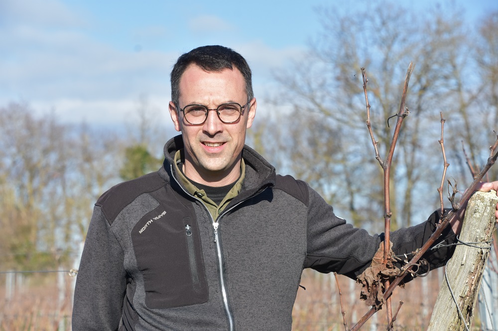 Pierre-Antoine Pinet repart pour trois ans à la présidence de la Fédération viticole de l'Anjou-Saumur