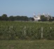 Les vignes du château de Chambord sont en partie en AOC Cheverny et devraient intégrer la future aire géographique de l'AOC Cour Cheverny