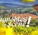 Une journée du vin avec Vignobles en fête