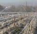 L’aspersion n’est pas de l’irrigation