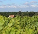 ​Communales du Muscadet : les PNO sont lancées