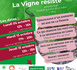 Vignerons en bio, venez partager votre été