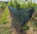 Des filets contre les coups de chaud
