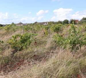 Friches : plus de 350 ha recensés