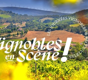 Une journée du vin avec Vignobles en fête
