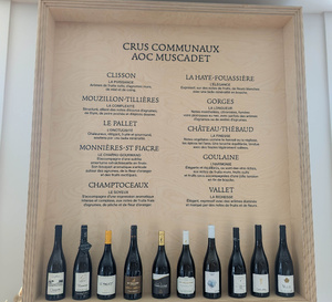 ​Ne dites plus « cru » mais « communale » du Muscadet