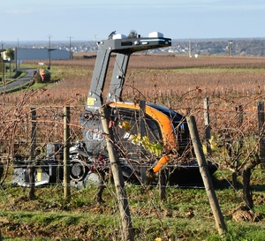 Le premier chenillard autonome de Pellenc travaille en Anjou