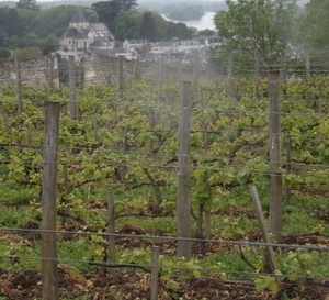 Touraine Amboise et Touraine Chenonceaux en route pour leur AOC