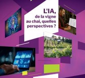L'intelligence artificielle dans le vin ? Rendez-vous le 29 janvier