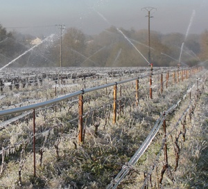 L’aspersion n’est pas de l’irrigation