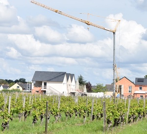Le Conseil constitutionnel renvoie les ZNT aux agriculteurs