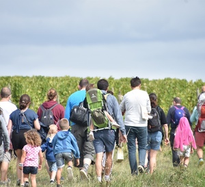 Vignes Vins Randos, le retour