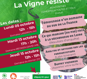 Vignerons en bio, venez partager votre été