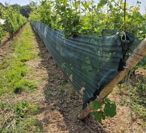 Des filets contre les coups de chaud