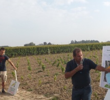 Loir-et-Cher : colloque viti-oeno le 2 septembre