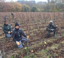 Une nouvelle vie, en France et dans les vignes