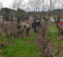 Des vignerons tourangeaux solidaires de l'Aude
