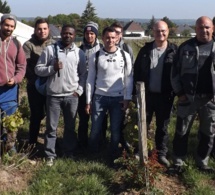 Ils se reconvertissent dans la viticulture