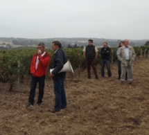 Visites de vignes : le programme 