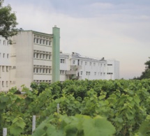 A Briacé, la filière viticole peine à recruter