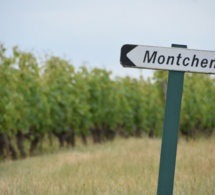 Les crus d'Anjou Blanc en bonne voie