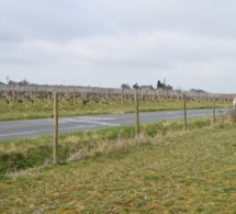 Encore une antenne à Rochefort-sur-Loire ?